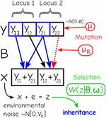 Directional selection can drive the evolution of modularity in complex traits