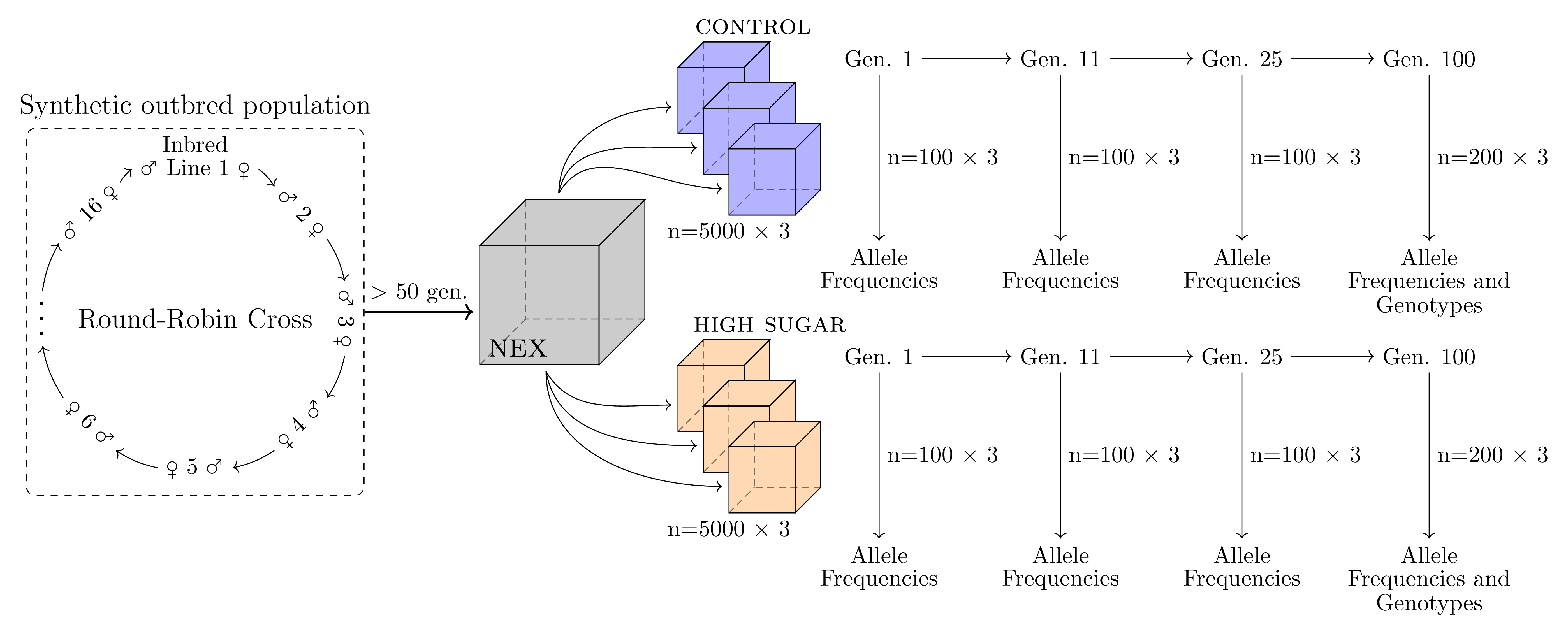 Longitudinal sequencing reveals polygenic and epistatic nature of ...